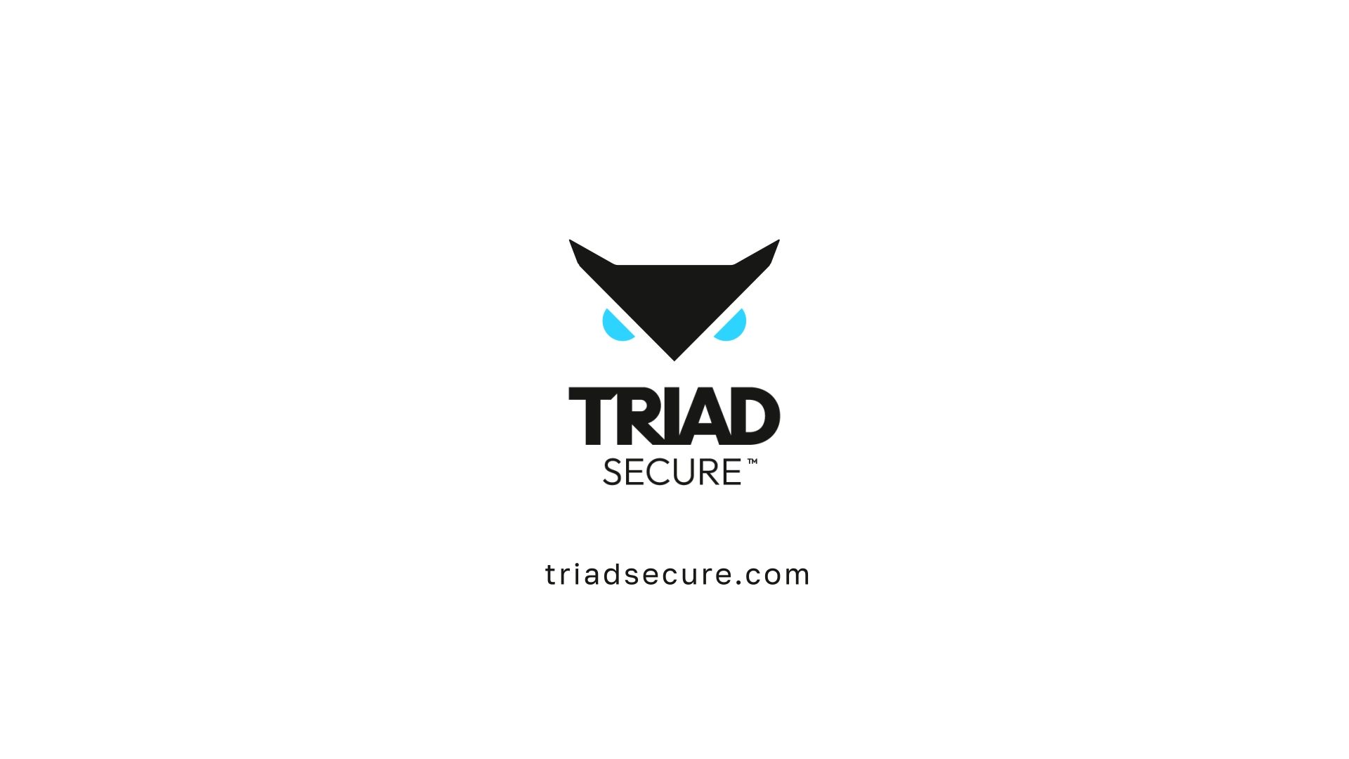 Triad Secure brand film